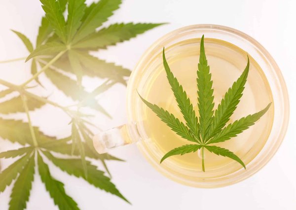 Comment bien choisir son infusion au CBD ?