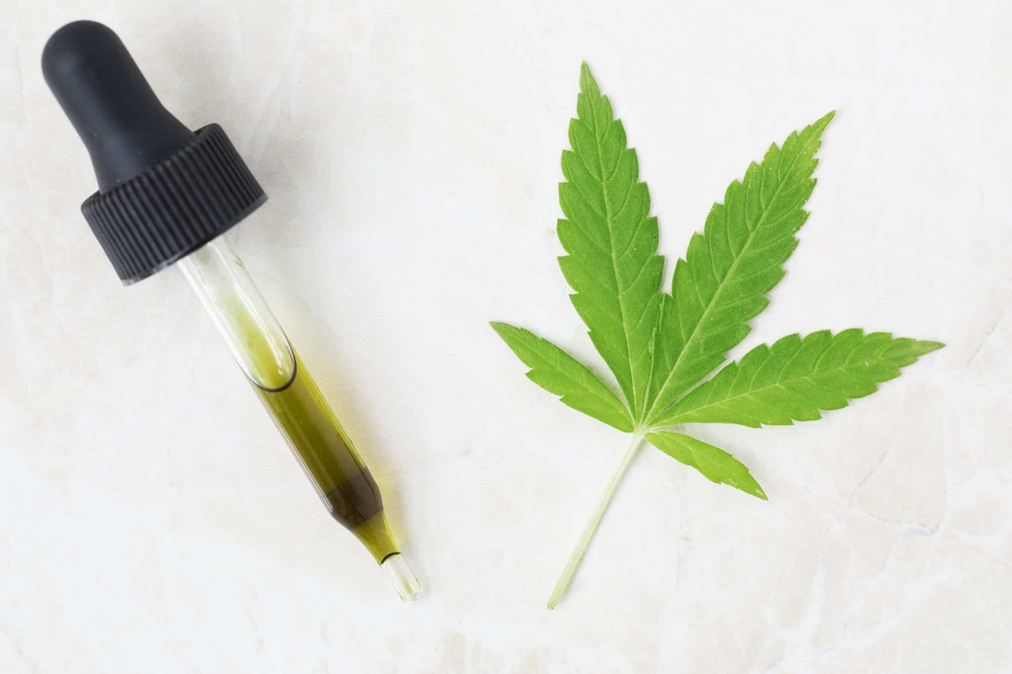 Les critères pour choisir une boutique de vente de CBD pas chère en ligne